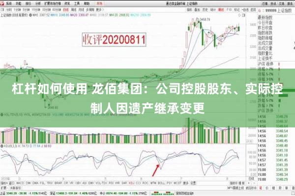 杠杆如何使用 龙佰集团：公司控股股东、实际控制人因遗产继承变更